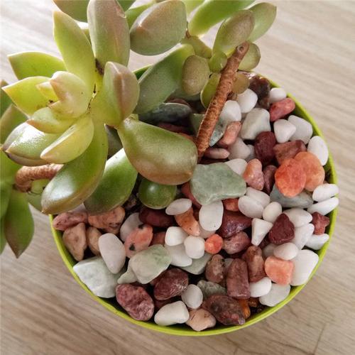 绿宸矿产品加工厂 以绿色科技引领矿产品加工新标杆